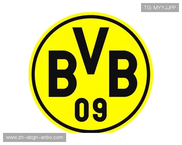 德甲2支球队：德甲联赛中的两支代表性球队