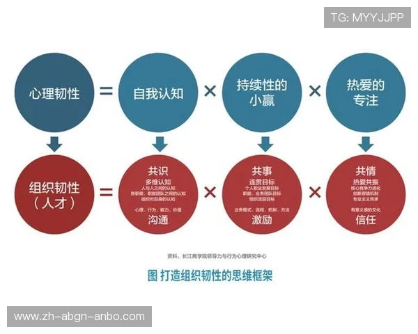 韧性增长密码：王英超团队应对市场波动的创新实践